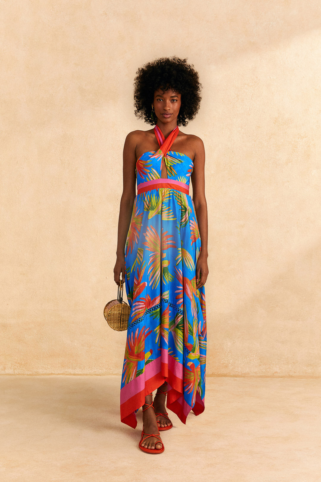 FARM RIO Painted Birds Maxi Dress – HIVE