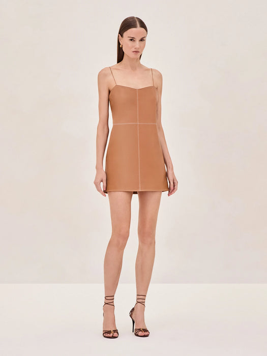 Alexis Amery Mini Dress