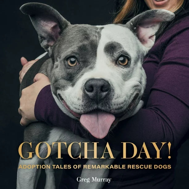 Gotcha Day! Adoption Tales Book Hard Cover